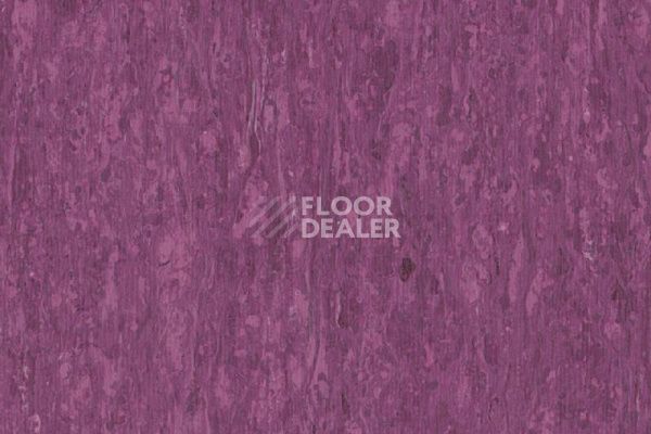 Линолеум TARKETT iQ Optima Purple 0255 фото 1 | FLOORDEALER